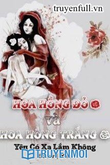 Hoa Hồng Đỏ Và Hoa Hồng Trắng