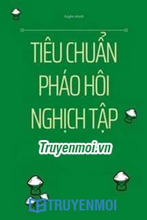 Tiêu Chuẩn Pháo Hôi Nghịch Tập