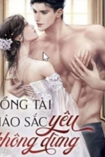 Tổng Tài Háo Sắc Yêu Không Dừng